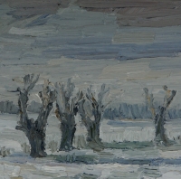 Winter am Kühkopf, 30 x 30 cm