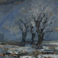 Winter am Kühkopf II, 30 x 30 cm