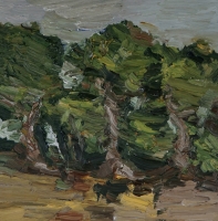 Eichen am Oberfeld, 30 x 30 cm